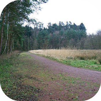 Sportplatz Lohmar